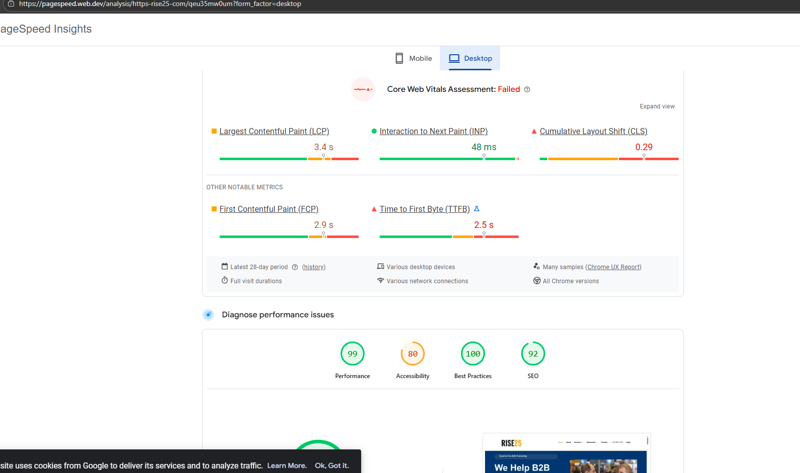 Rise25 PageSpeed score after optimization — 99/100